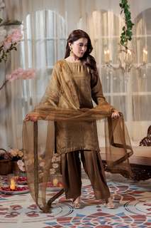 Shaista Lodhi feet photo thumbnail