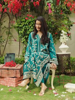 Shaista Lodhi feet photo 6
