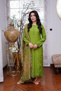 Shaista Lodhi feet photo 8