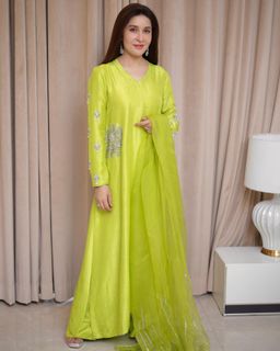 Shaista Lodhi feet photo 11