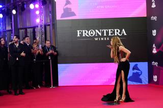 Shakira feet photo thumbnail