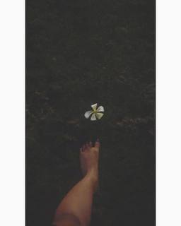 Shalini Pandey feet photo 13