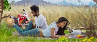 Shalini Pandey feet photo 9