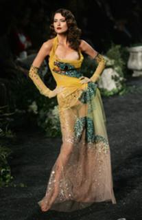 Shalom Harlow feet photo 5