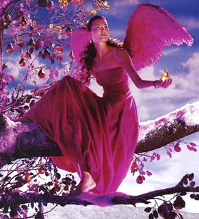 Shalom Harlow feet photo 6