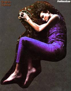 Shalom Harlow feet photo 2