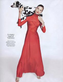 Shalom Harlow feet photo 5