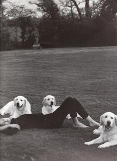 Shalom Harlow feet photo 6
