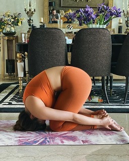 Shama Sikander feet photo 14