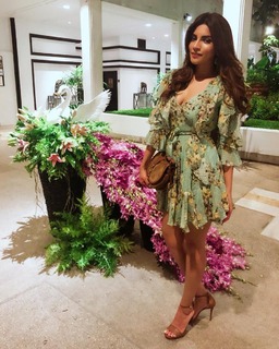 Shama Sikander feet photo 19