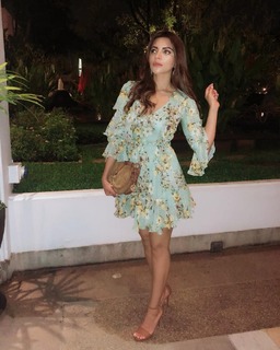 Shama Sikander feet photo 18