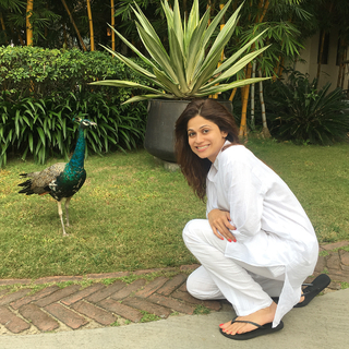 Shamita Shetty feet photo thumbnail