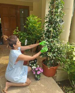 Shamita Shetty feet photo thumbnail