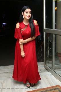 Shamna Kasim feet photo thumbnail