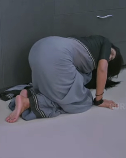 Shamna Kasim feet photo thumbnail