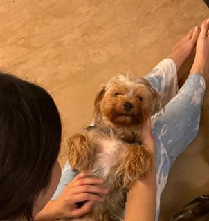 Shanaya Kapoor feet photo thumbnail