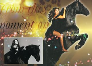 Shania Twain feet photo thumbnail