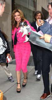 Shania Twain feet photo thumbnail