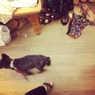 Shanina Shaik feet photo thumbnail