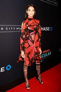 Shanina Shaik feet photo thumbnail