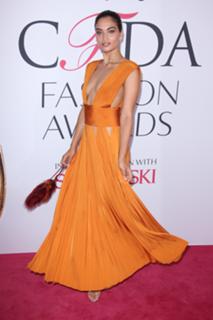 Shanina Shaik feet photo thumbnail