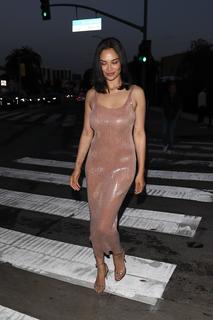 Shanina Shaik feet photo thumbnail