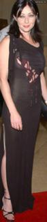Shannen Doherty feet photo thumbnail
