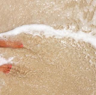 Shannon Bream feet photo thumbnail