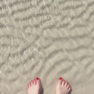 Shannon Bream feet photo thumbnail