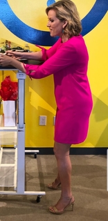 Shannon Bream feet photo thumbnail