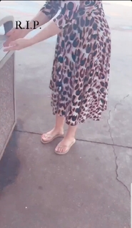 Shannon Bream feet photo thumbnail