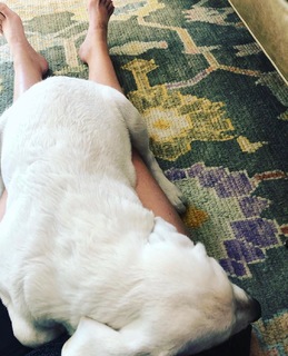 Shannon Bream feet photo thumbnail