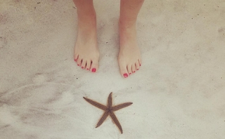 Shannon Bream feet photo thumbnail