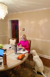 Shannon Bream feet photo thumbnail