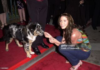 Shannon Elizabeth feet photo 3