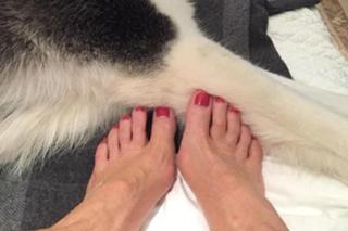 Shannon Tweed feet photo thumbnail