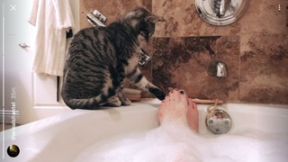 Shantel VanSanten feet photo thumbnail