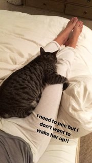 Shantel VanSanten feet photo thumbnail