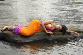 Shanvi Srivastava feet photo 14