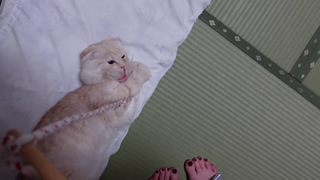 Sharla in Japan feet photo 13