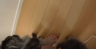 Sharla in Japan feet photo 14