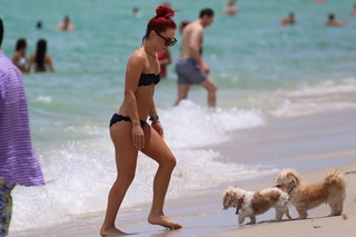 Sharna Burgess feet photo 11