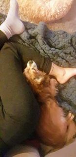 Sharon Dubois feet photo thumbnail