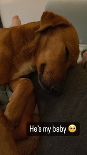 Sharon Dubois feet photo thumbnail