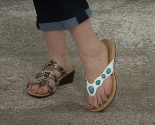 Sharon Faetsch feet photo 20