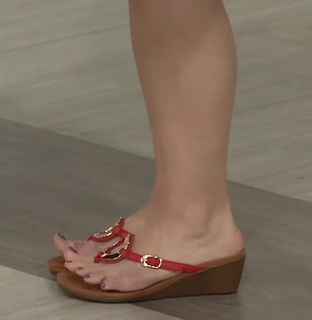 Sharon Faetsch feet photo 7
