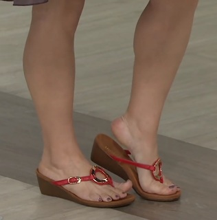Sharon Faetsch feet photo 5