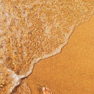Sharon Leal feet photo 10