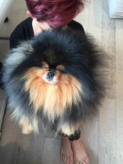 Sharon Osbourne feet photo thumbnail