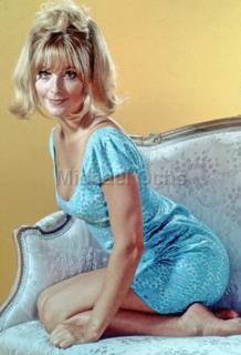 Sharon Tate feet photo thumbnail